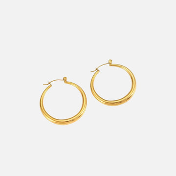 Titanium Steel Hoop Earrings with 18K Gold Plating