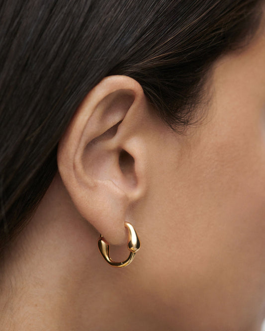 PdPaola Cycle Hoops