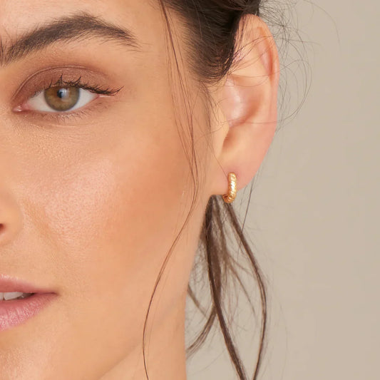 Ania Haie Gold Smooth Twist Huggie Earrings