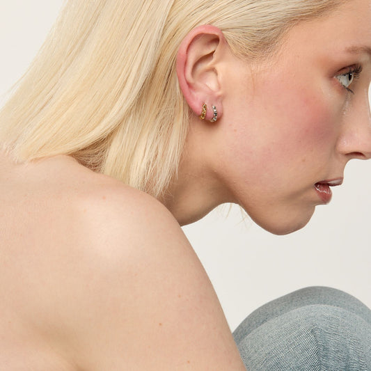 Cestius Earring